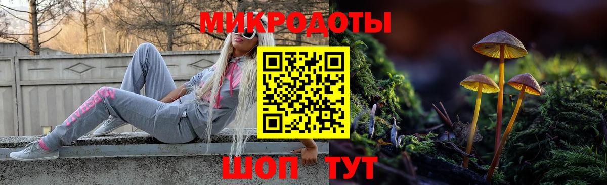 Таганрог  Псилоцибиновые грибы мицелий  Вход с VPN 